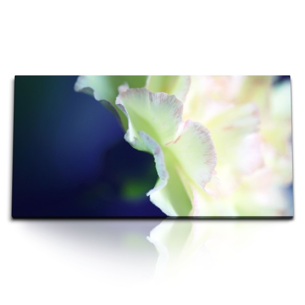 Paul Sinus Art Kunstdruck Bilder 120x60cm Weiße Blume Blüte Blau Kunstvoll Makrofotografie