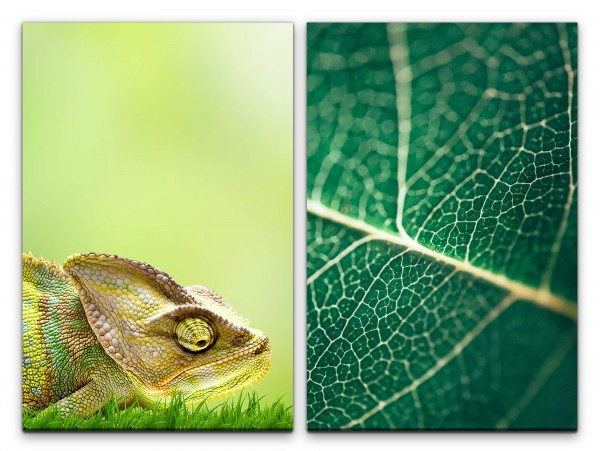 Paul Sinus Art 2 Bilder je 60x90cm Chamäleon Wiese Blatt Grün Sommer Pflanze Makrofotografie