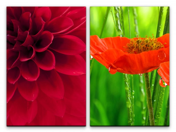 Paul Sinus Art 2 Bilder je 60x90cm Dahlie rote Blüte Mohnblume Morgentau Sommer Flora Frisch