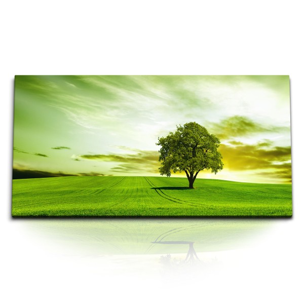 Paul Sinus Art Kunstdruck Bilder 120x60cm Grüne Wiese Gras Baum Landschaft Horizont