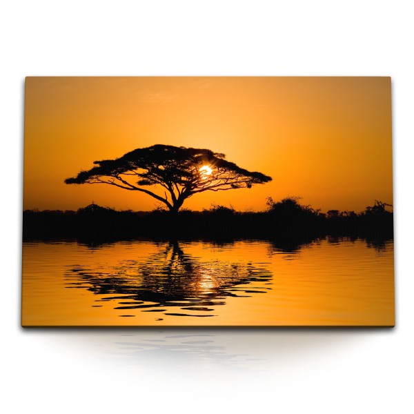 Paul Sinus Art 120x80cm Wandbild auf Leinwand Burkea afrikanischer Baum Sonnenuntergang Afrika See