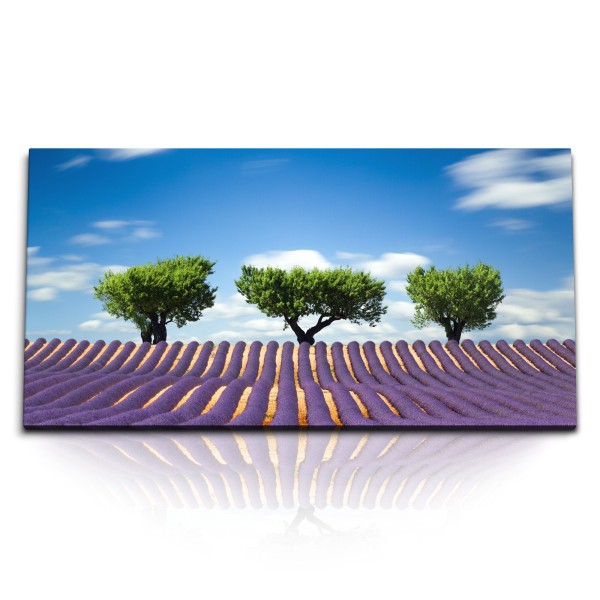 Paul Sinus Art Kunstdruck Bilder 120x60cm Lavendelfeld Lavendel Bäume Landschaft blauer Himmel