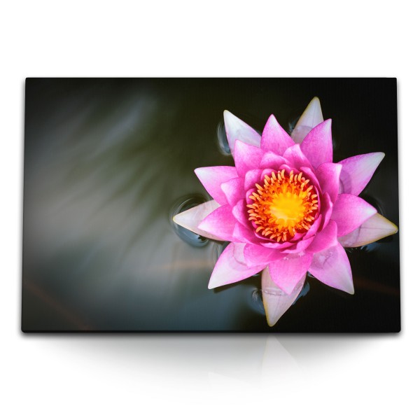 Paul Sinus Art 120x80cm Wandbild auf Leinwand Lotosblume Lotosblüte Wasserblume Lila