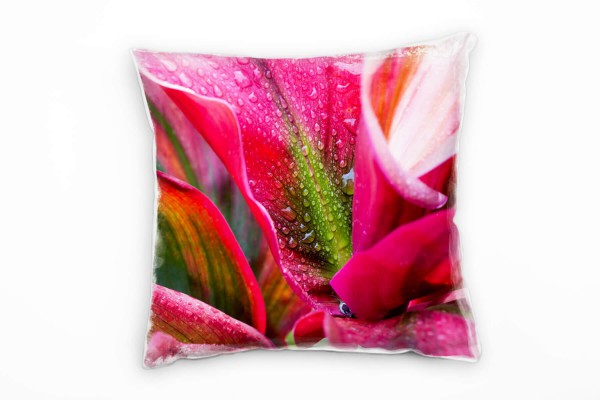 Paul Sinus Art Macro, Blumen, Blütenblatt, Wassertropfen, pink Deko Kissen 40x40cm für Couch Sofa Lounge Zierkissen