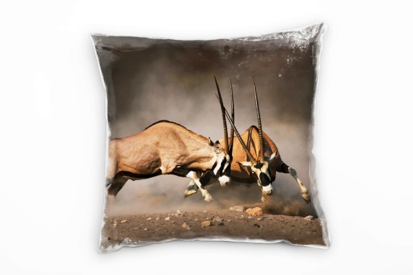 Paul Sinus Art Tiere, zwei kämpfende Spießböcke, braun Deko Kissen 40x40cm für Couch Sofa Lounge Zierkissen