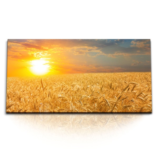 Paul Sinus Art Kunstdruck Bilder 120x60cm Weizenfeld Weizen Sonne Sonnenuntergang Natur Abendrot