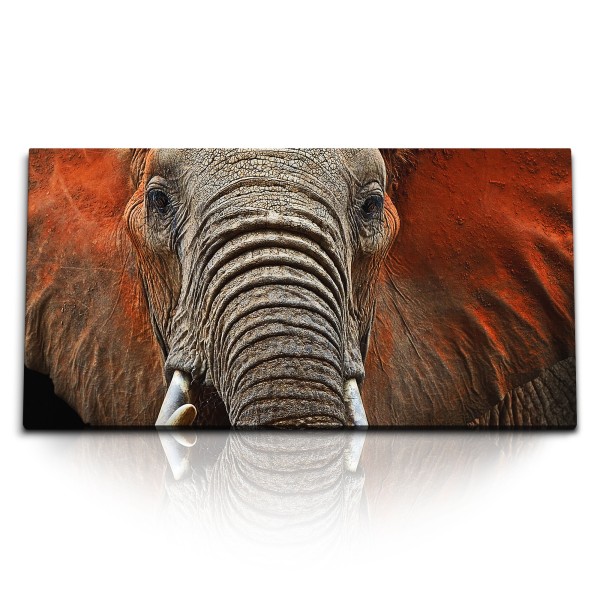 Paul Sinus Art Kunstdruck Bilder 120x60cm Tierfotografie Elefant Porträt Afrika Safari