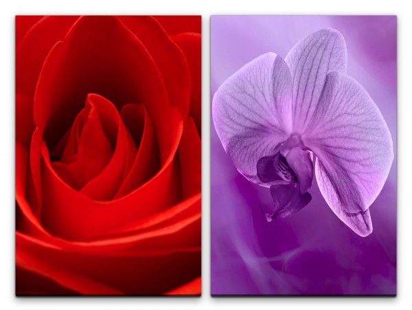 Paul Sinus Art 2 Bilder je 60x90cm Rose Orchidee Blüten Liebe Romantisch Rot Makrofotografie