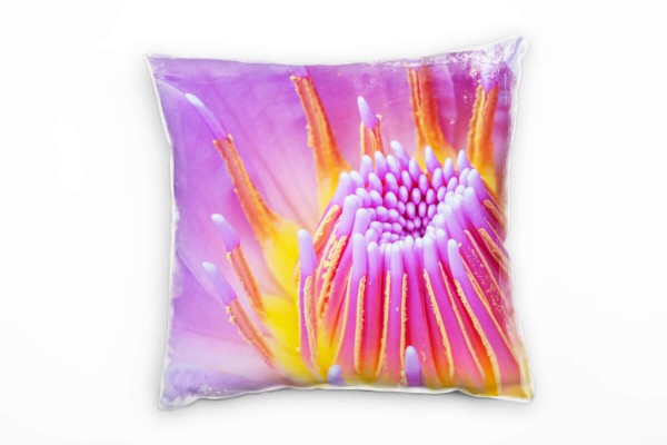 Paul Sinus Art Macro, Blumen, Blüte, lila, gelb Deko Kissen 40x40cm für Couch Sofa Lounge Zierkissen