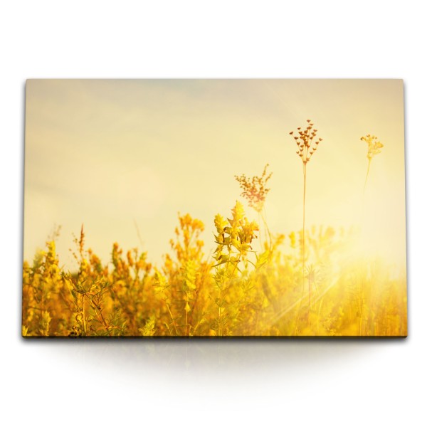 120x80cm Wandbild auf Leinwand Sonnenschein Landschaft Gewächs Blumen Sommer