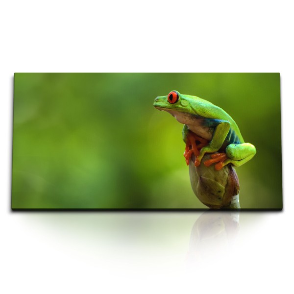 Paul Sinus Art Kunstdruck Bilder 120x60cm Frosch Tropisch Exotisch Grün Tierfotografie Natur