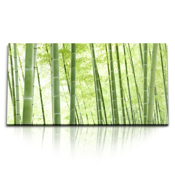 Paul Sinus Art Kunstdruck Bilder 120x60cm Bambus Bambuswald Asien Natur Grün