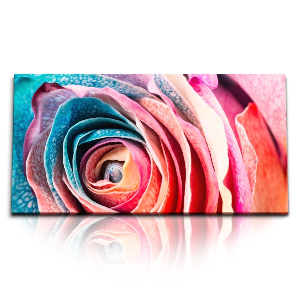 Paul Sinus Art Kunstdruck Bilder 120x60cm Nahaufnahme Blüte Blume Rosa Rot Farbenfroh