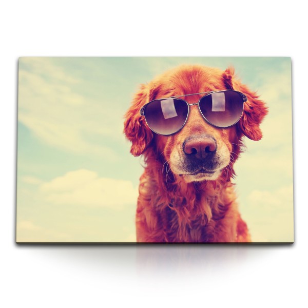 Paul Sinus Art 120x80cm Wandbild auf Leinwand Hund mit Sonnenbrille Tierfotografie Sommer