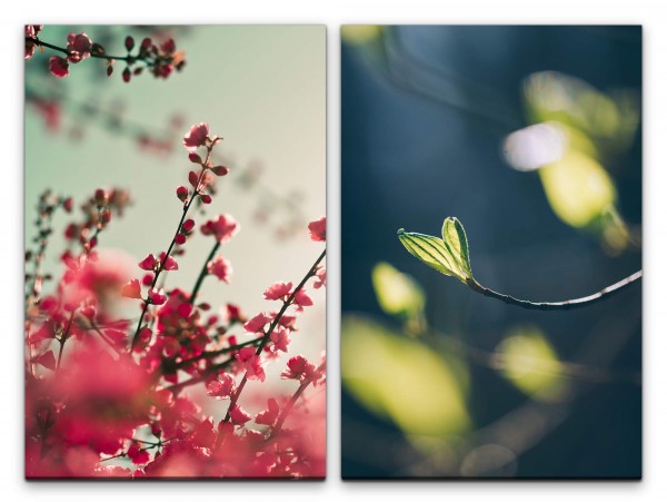 2 Bilder je 60x90cm Frühling Baumblüten junges Blatt Natur Warm Dekorativ Entspannend