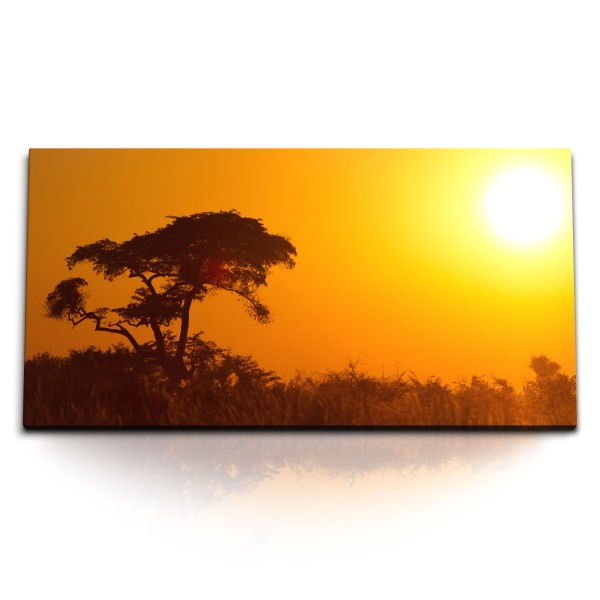 Paul Sinus Art Kunstdruck Bilder 120x60cm Afrikanische Landschaft Sonnenuntergang Bäume Abendröte