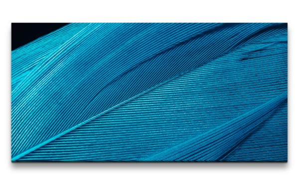 Paul Sinus Art Leinwandbild 120x60cm Blaue Feder Nahaufnahme Makrofotografie Dekorativ