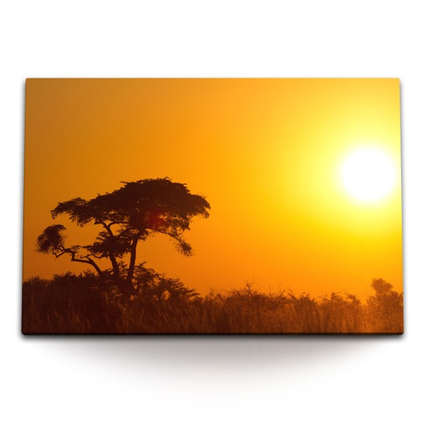 Paul Sinus Art 120x80cm Wandbild auf Leinwand Afrikanische Landschaft Sonnenuntergang Bäume Abendröte