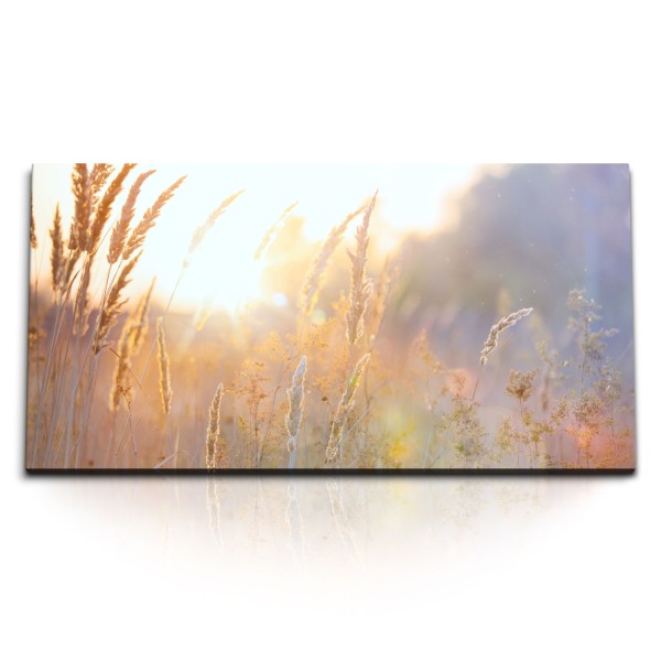 Paul Sinus Art Kunstdruck Bilder 120x60cm Weizen Weizenfeld Halme Sommer Landschaft Natur