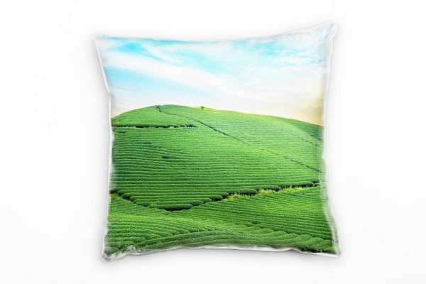 Paul Sinus Art Landschaft, grün, blau, Teehügel, Vietnam Deko Kissen 40x40cm für Couch Sofa Lounge Zierkissen