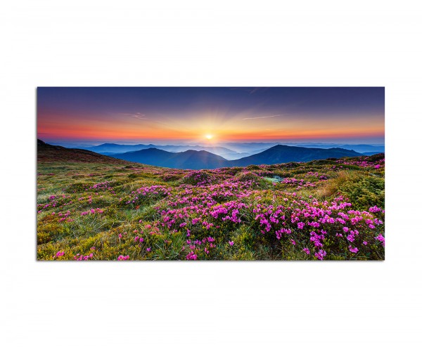 Paul Sinus Art 120x60cm Ukraine Blumenwiese Berge Sonne Natur