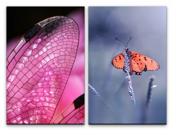 Paul Sinus Art 2 Bilder je 60x90cm Schmetterling Libelle Flügel Fotokunst Zart Nahaufnahme Makrofotografie