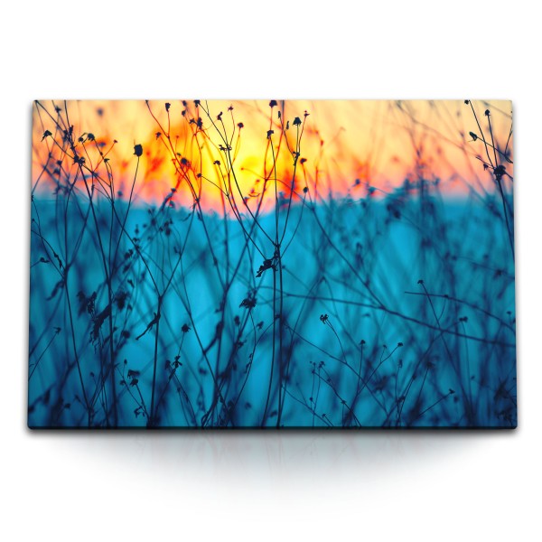 Paul Sinus Art 120x80cm Wandbild auf Leinwand Sonnenuntergang Abendrot Natur Blau Gewächs