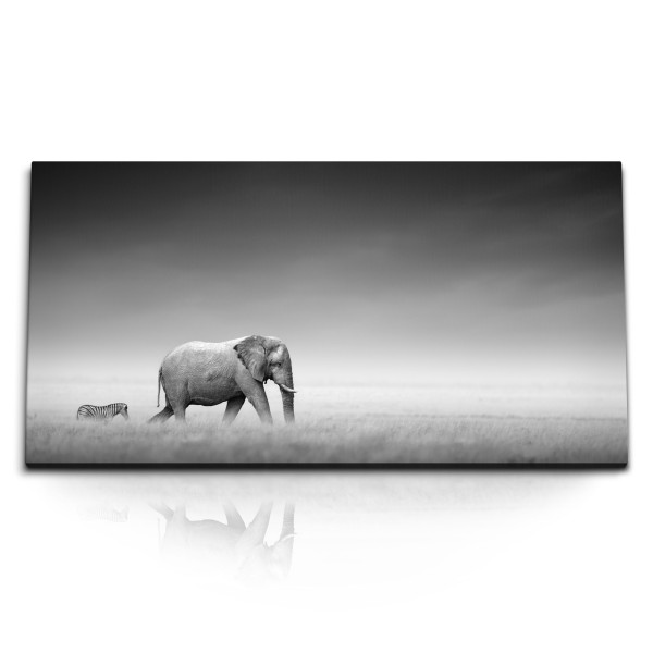 Paul Sinus Art Kunstdruck Bilder 120x60cm Elefant mit Zebra Schwarz Weiß Tierfotografie Afrika