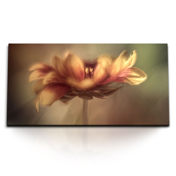 Paul Sinus Art Kunstdruck Bilder 120x60cm Blume Blüte Brauntöne Fotokunst Natur