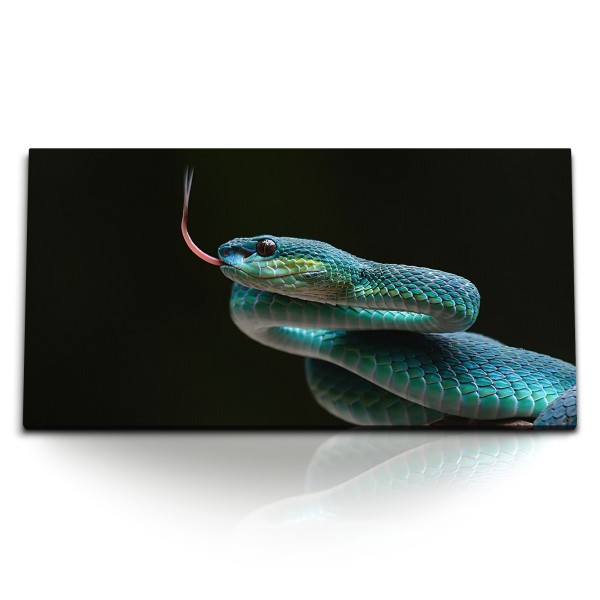 Paul Sinus Art Kunstdruck Bilder 120x60cm Schwange Giftschlange Exotisch Tropisch Tierfotografie