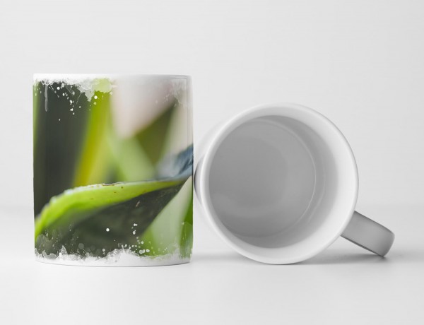 Paul Sinus Art Tasse Geschenk Naturfotografie – Blätter einer Sukkulente