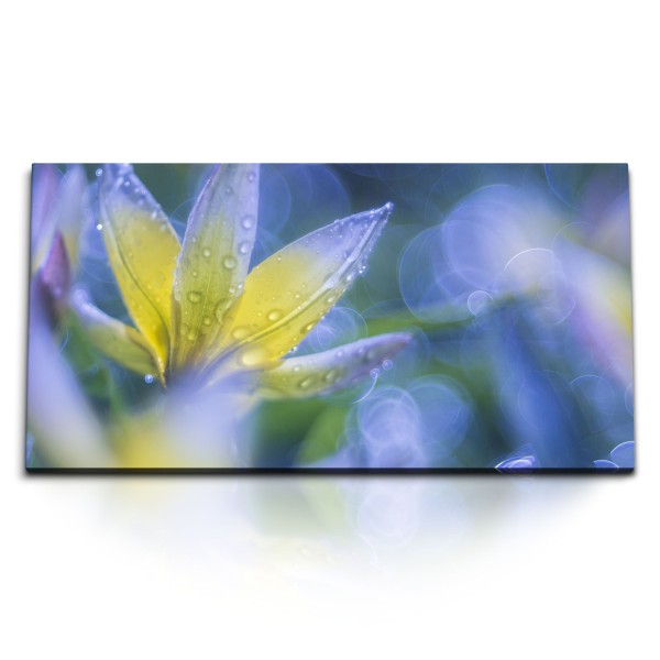 Paul Sinus Art Kunstdruck Bilder 120x60cm Blume Blüte Fotokunst Nahaufnahme Regentropfen Blau