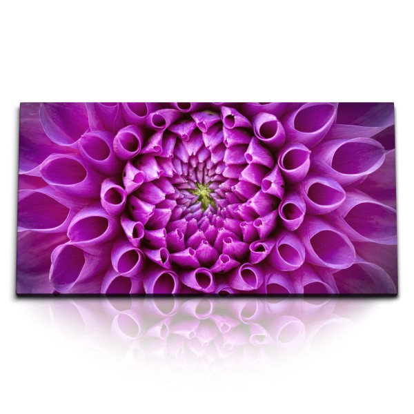 Paul Sinus Art Kunstdruck Bilder 120x60cm Dahlie Blume Violett Nahaufnahme Kunstvoll