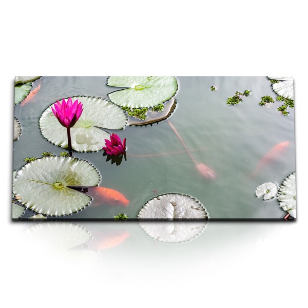 Paul Sinus Art Kunstdruck Bilder 120x60cm Lotus Wasserblume Lotusblüte Teich Koi Asien