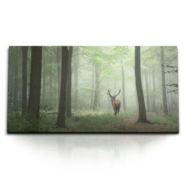 Paul Sinus Art Kunstdruck Bilder 120x60cm Hirsch im Wald Natur Bäume Tierfotografie