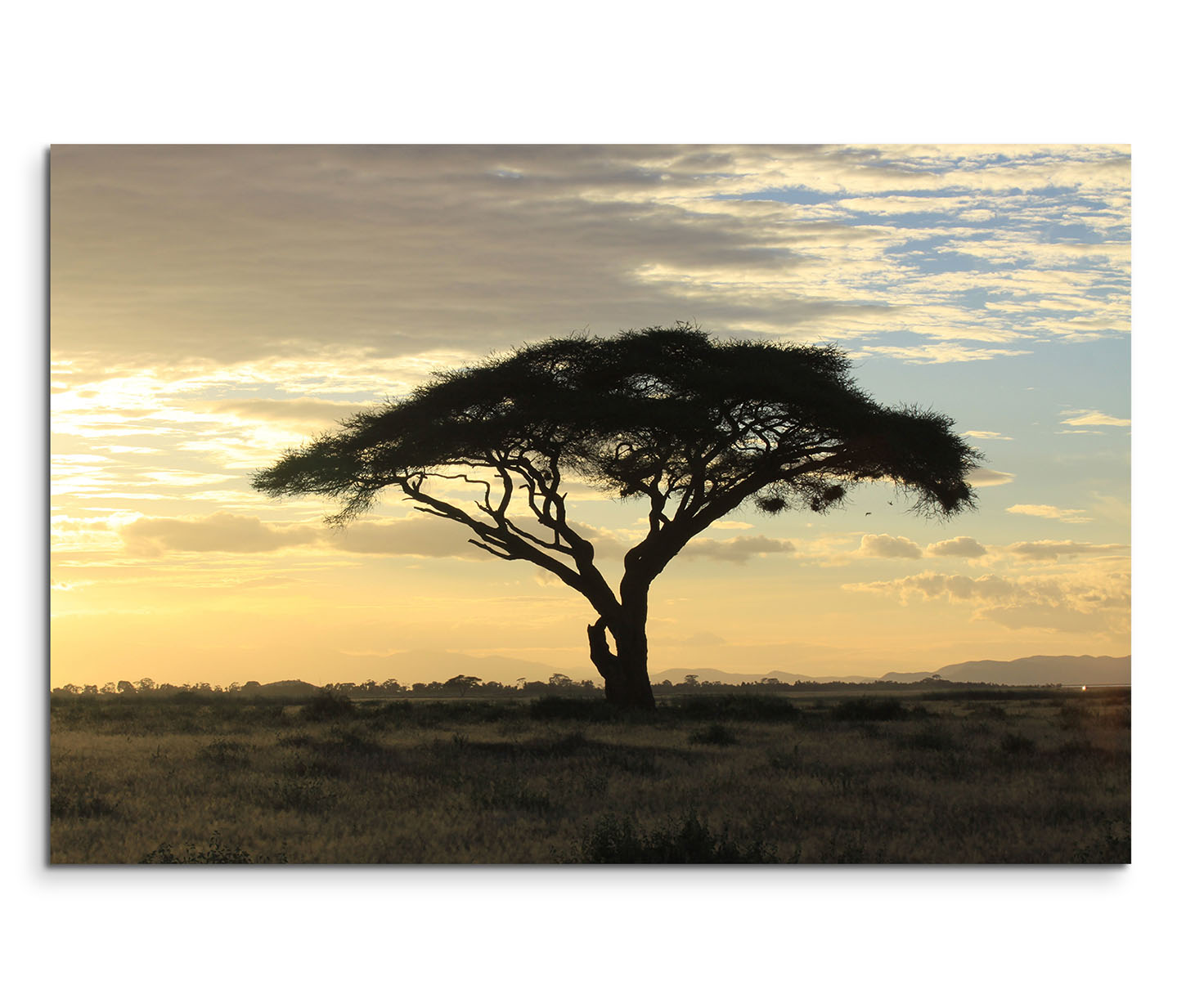 120x80cm Wandbild Afrika Savanne Baum Sonnenuntergang | Sinus Art GmbH -  Einzigartige Designs, Geschenke , Wandbilder & Wohnaccessoires zu fairen  Preisen