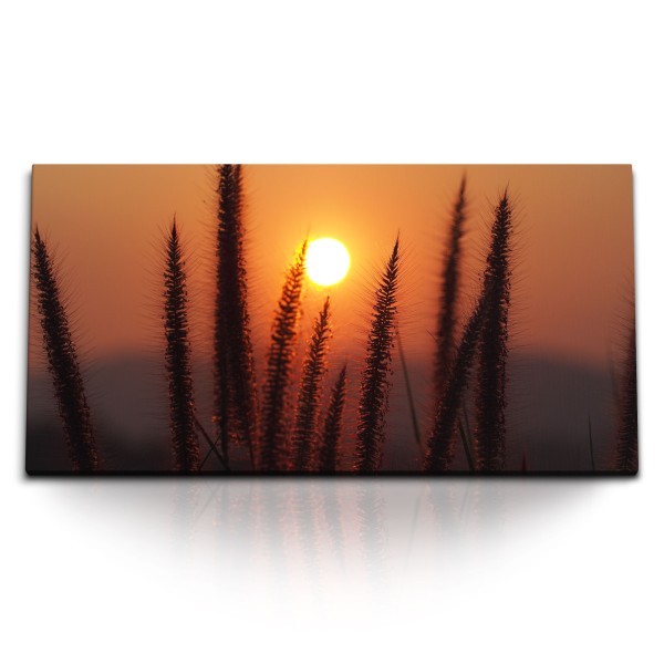 Paul Sinus Art Kunstdruck Bilder 120x60cm Sonnenuntergang Abendrot Weizen Halme Rot