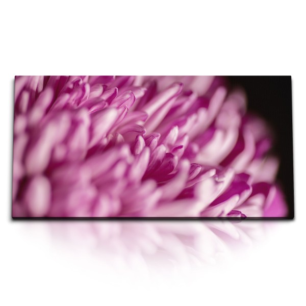 Paul Sinus Art Kunstdruck Bilder 120x60cm Blume Blüte Nahaufnahme Rosa Dekorativ