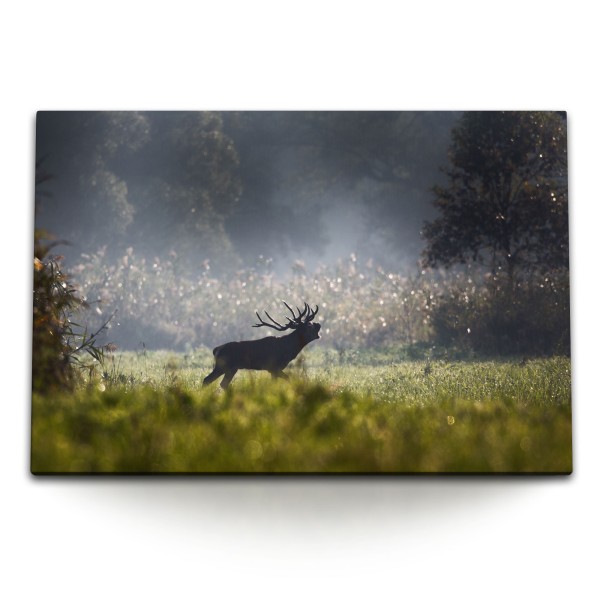 Paul Sinus Art 120x80cm Wandbild auf Leinwand Wald Natur Hirsch Tierfotografie Hirschbulle