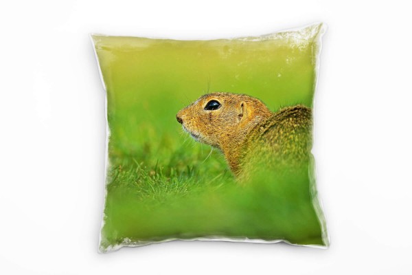 Paul Sinus Art Tiere, Gras, Ziesel, braun, grün Deko Kissen 40x40cm für Couch Sofa Lounge Zierkissen