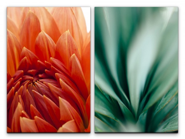 Paul Sinus Art 2 Bilder je 60x90cm Dahlie rote Blume grünes Blatt Blüte Sommer Fokus Makrofotografie