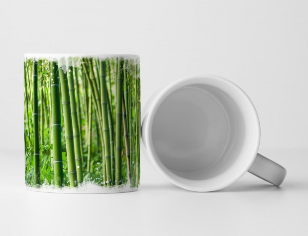 Paul Sinus Art Tasse Geschenk Naturfotografie – Entspannender Bambuswald