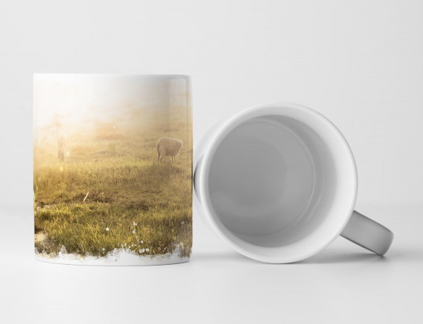 Paul Sinus Art Tasse Geschenk Naturfotografie – Lämmer auf der Wiese im Licht