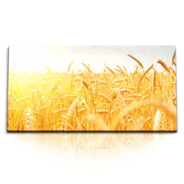 Paul Sinus Art Kunstdruck Bilder 120x60cm Weizenfeld Feld Sommer Sonnenschein Weizen