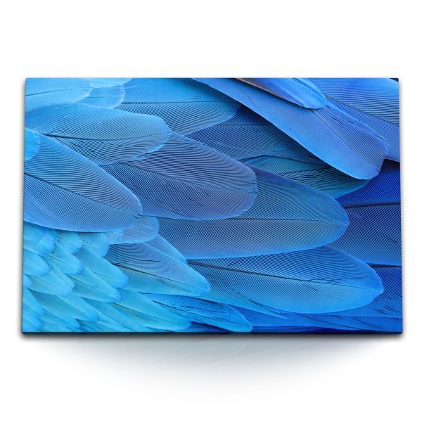 120x80cm Wandbild auf Leinwand Federkleid Vogelfedern Makrofotografie Blau Kunstvoll