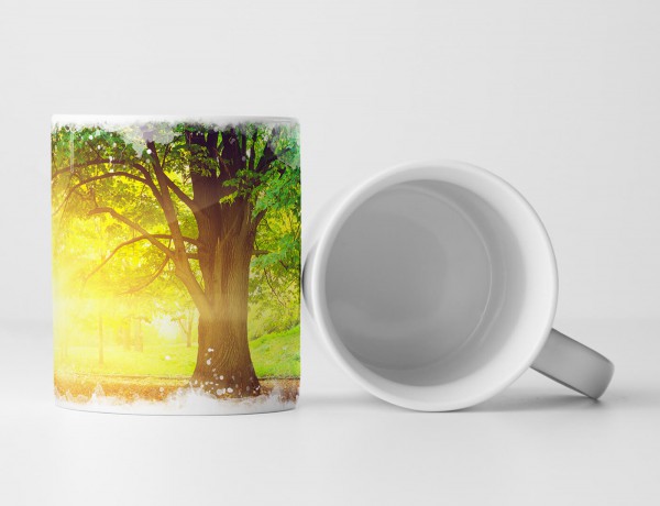 Paul Sinus Art Tasse Geschenk Landschaftsfotografie – Großer Baum im sonnigen Park