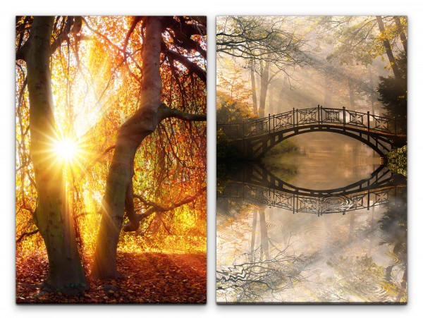 Paul Sinus Art 2 Bilder je 60x90cm Bäume Wald Herbst Holzbrücke Fluss Malerisch Lichtstrahlen