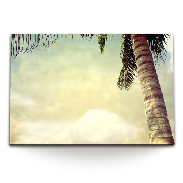 Paul Sinus Art 120x80cm Wandbild auf Leinwand Palme Himmel Sommer Urlaub Exotisch Süden