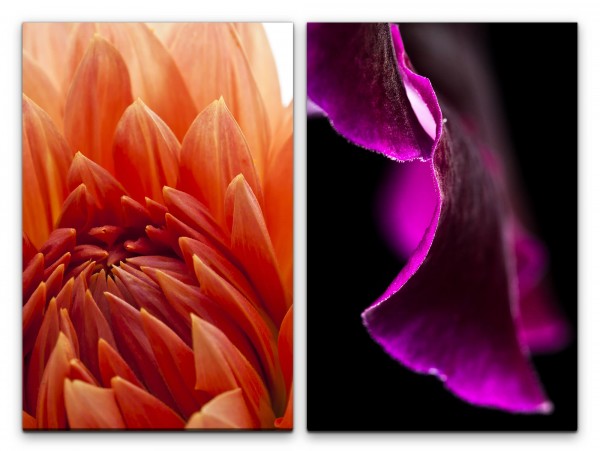 Paul Sinus Art 2 Bilder je 60x90cm Dahlie Blüte Rot Orchidee Nahaufnahme Blumen Violett