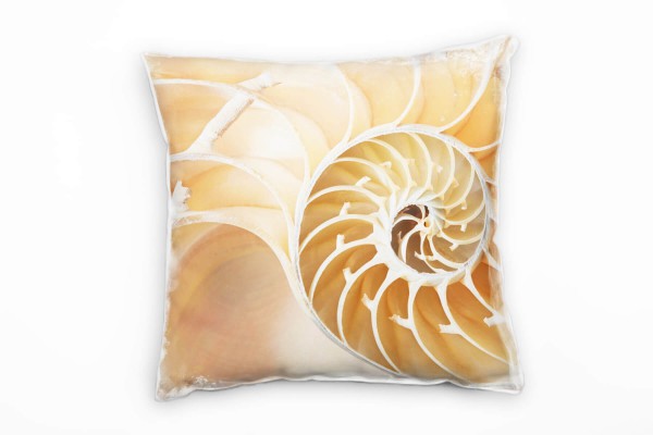 Paul Sinus Art Macro, Muschel, Spirale, beige, orange Deko Kissen 40x40cm für Couch Sofa Lounge Zierkissen